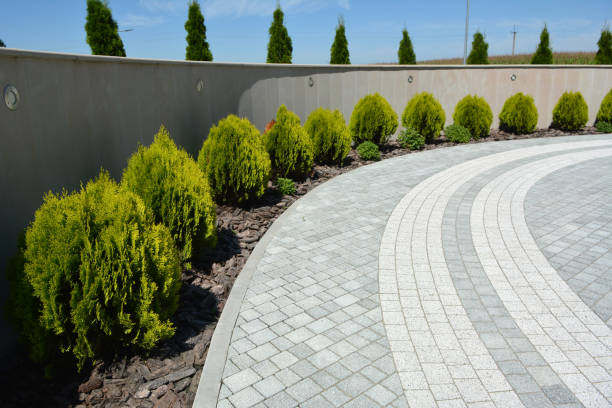 Best Residential Paver Driveway  in Lexington, IL